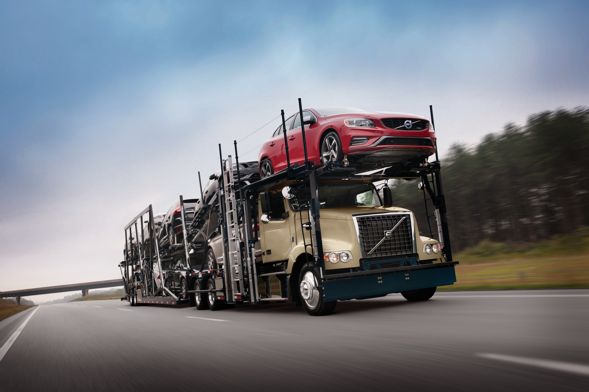 Collage-movers Trusted Shipping for Online Purchases